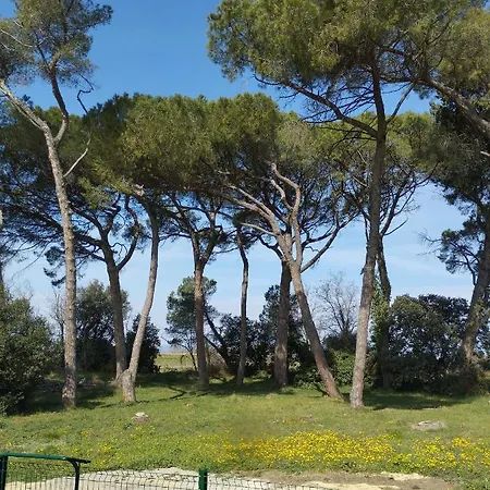 Meuble Et Confort, Au Milieu De La Campagne Saint-Paul-Trois-Châteaux